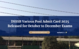 DSSSB Various Post Admit Card 2025 Released for October to December Exams