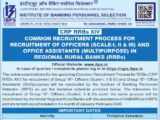 IBPS CRP RRBs XIV Recruitment 2025: Notification Out for Officers (Scale I, II, III) and Office Assistants (Multipurpose)