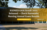 KSDNEB GNM Result 2025 Released – Check Karnataka Nursing Annual Exam Results