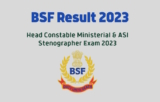 BSF Result for Head Constable Ministerial & ASI Stenographer Exam 2023