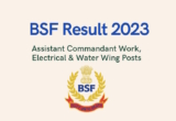 BSF Result 2023 for Assistant Commandant Work, Electrical & Water Wing Posts