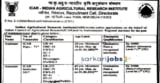IARI Recruitment 2025 for Research Associates, SRF/JRF, YP-II, Project Assistant-I and Other Posts