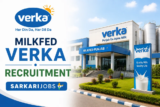 Milkfed Verka Recruitment 2026 for 172 Deputy Managers and Other Posts