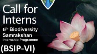 National Biodiversity Authority Recruitment 2025: Apply Online for 50 BSIP-VI Internships