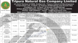 TNGCL Recruitment 2025 for Managers, Executives, HR, Accounts, Engineering & Other Posts